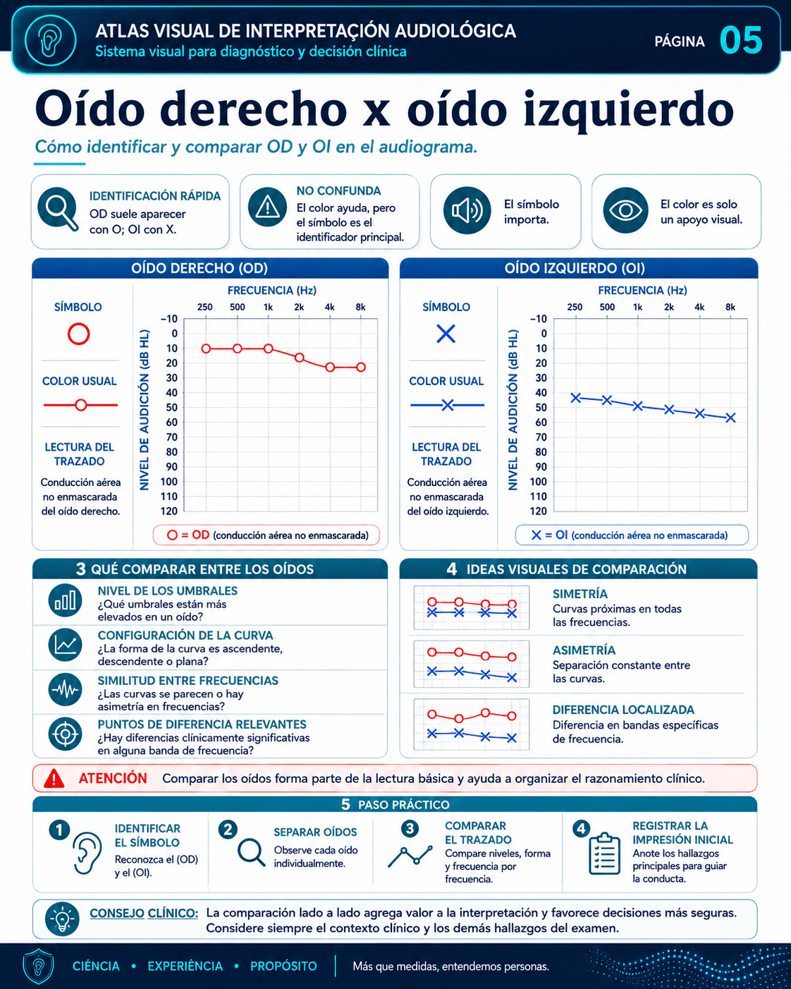 Tipos y grados de pérdida